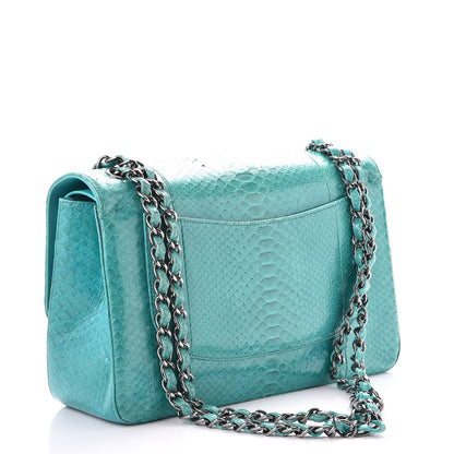 Chanel Python Jumbo Double Flap Turquoise 4 of 10