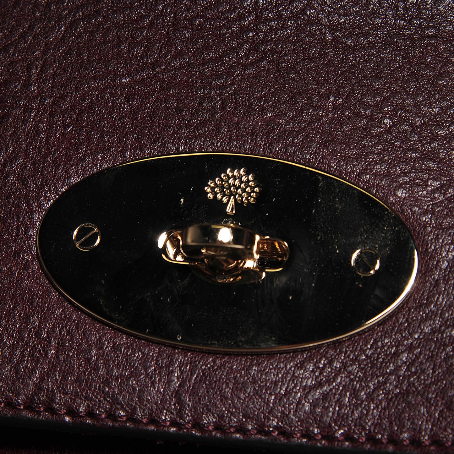 Natural Leather Cara Delevigne Convertible Satchel Oxblood