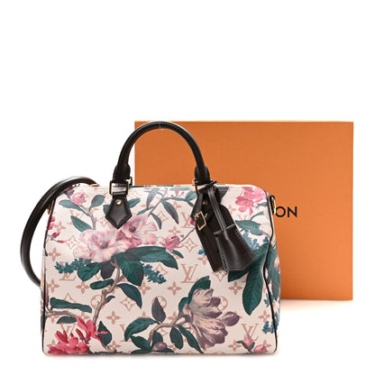 Louis Vuitton Monogram Dune Eden Speedy Soft 30 9 of 9