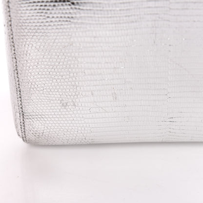 Christian Dior Metallic Lizard Mini Lady Dior Silver 12 of 13