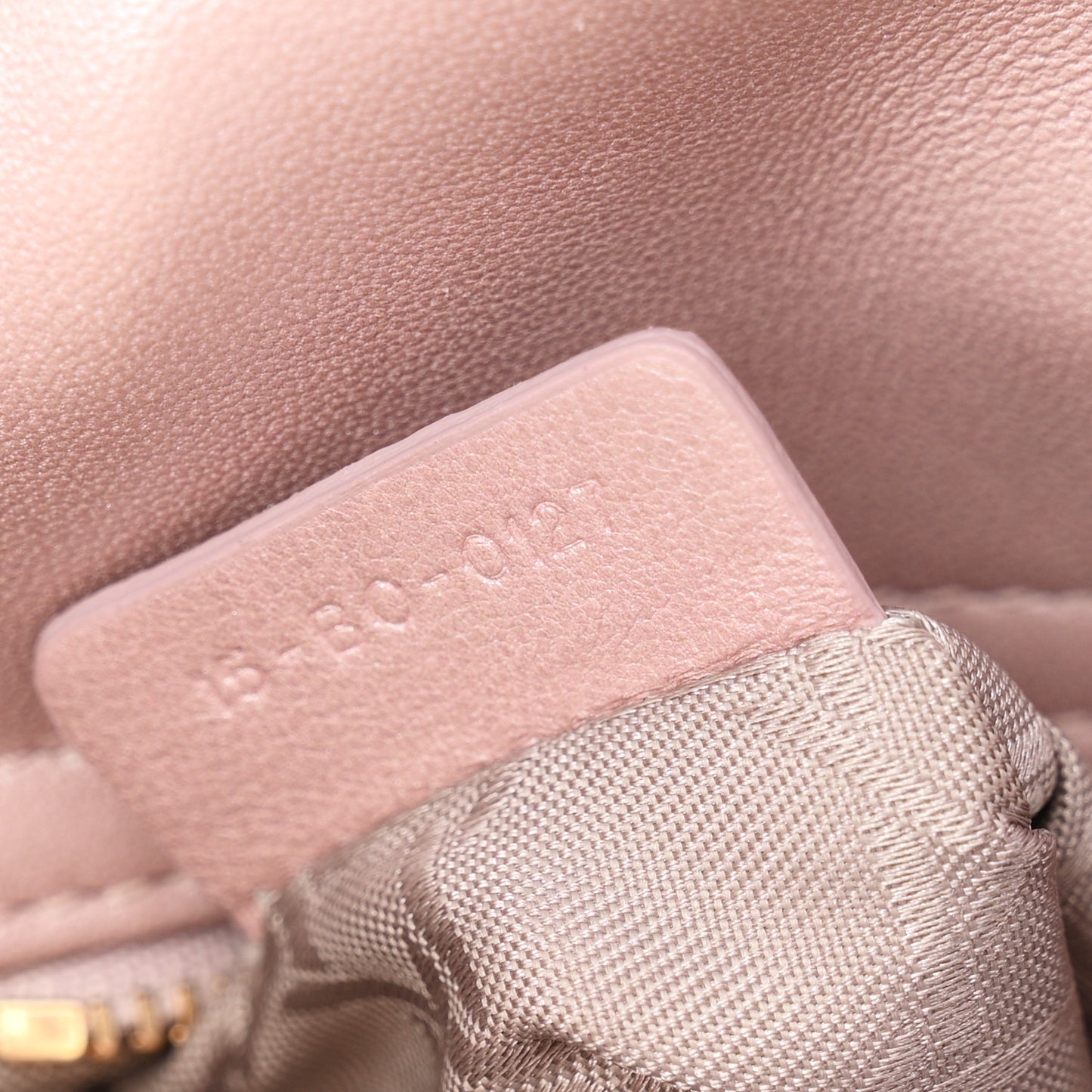 Metallic Lambskin Cannage Mini Lady Dior Lotus