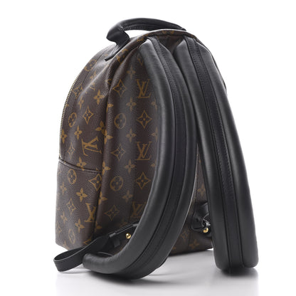 Louis Vuitton Monogram Palm Springs Backpack PM 2 of 10