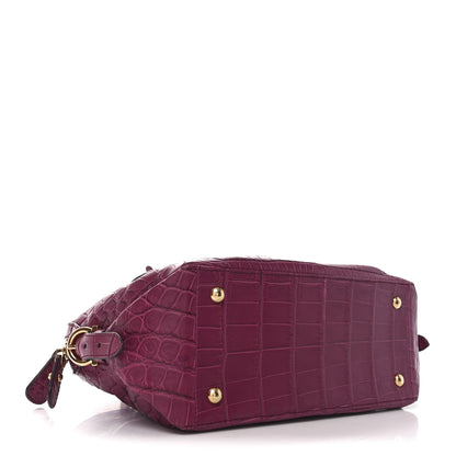 Salvatore Ferragamo Alligator Fiamma Bag Pink 4 of 9