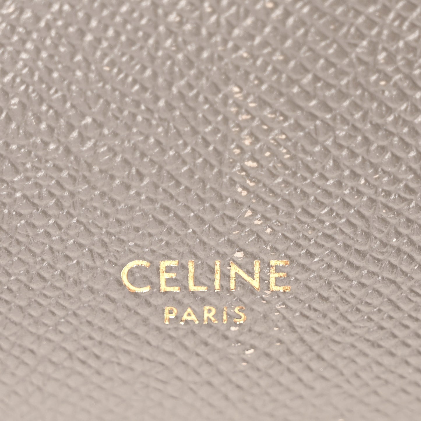 Grained Calfskin Nano Belt Bag Grey