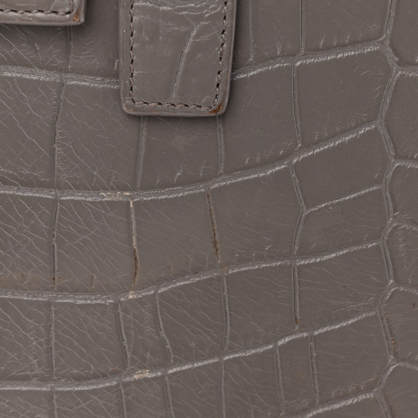 Calfskin Crocodile Embossed Nano Sac De Jour Fog