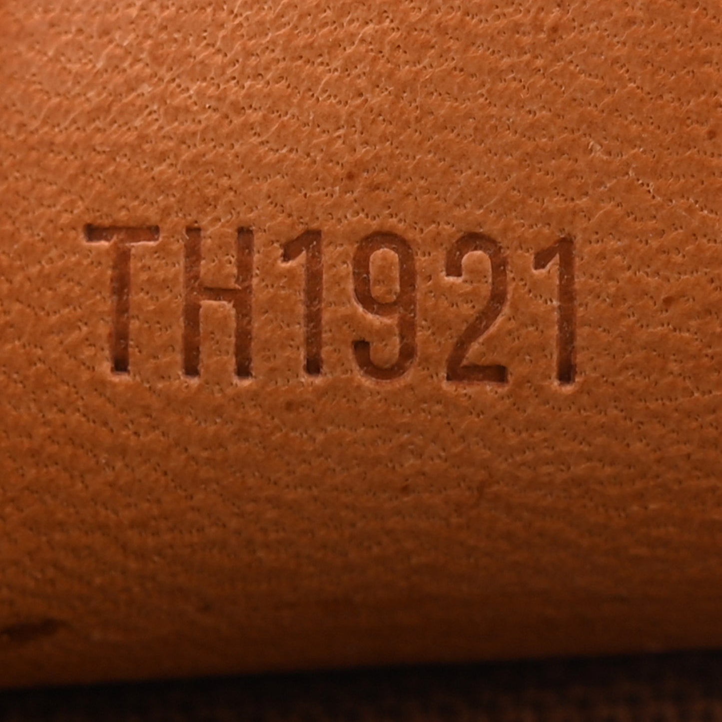 Monogram Mini Sac HL Speedy