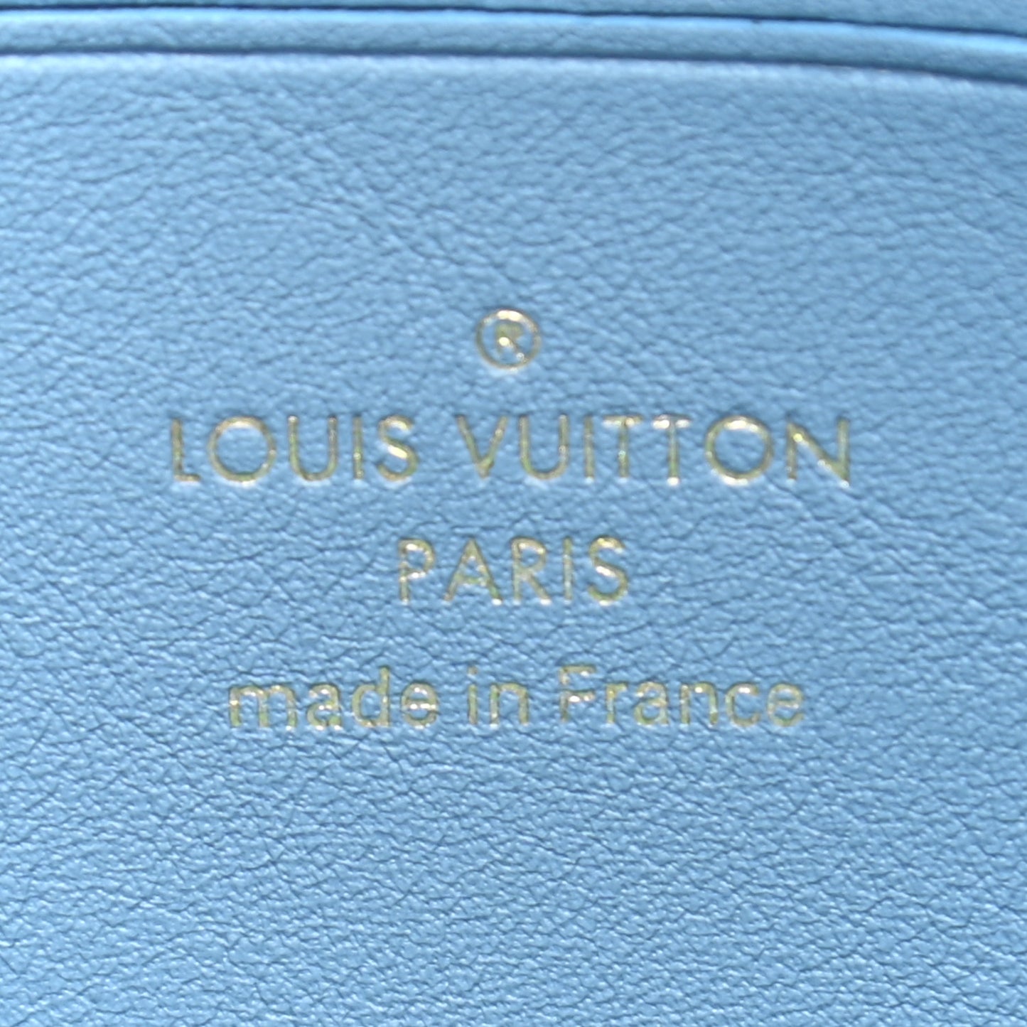 Embroidered Monogram Denim New Wave Zipped Pochette Blue