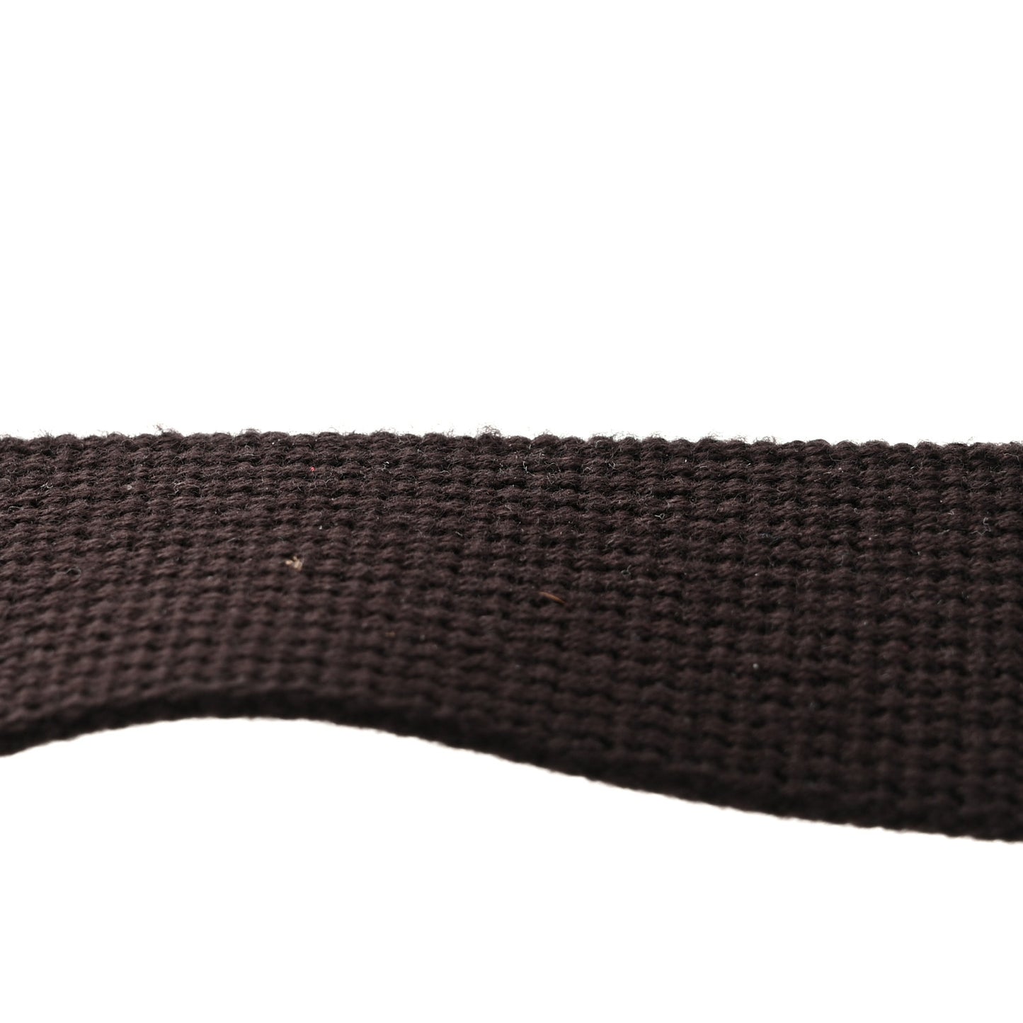 Monogram Dollar Calfskin Belt Bag Beige Ebony Testa di Moro Marrone Scuro