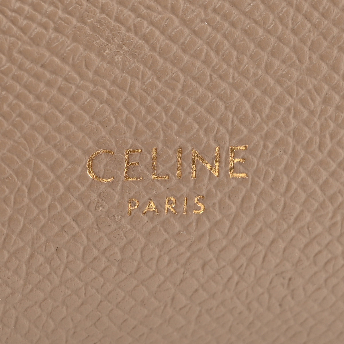 Grained Calfskin Pico Belt Bag Light Taupe