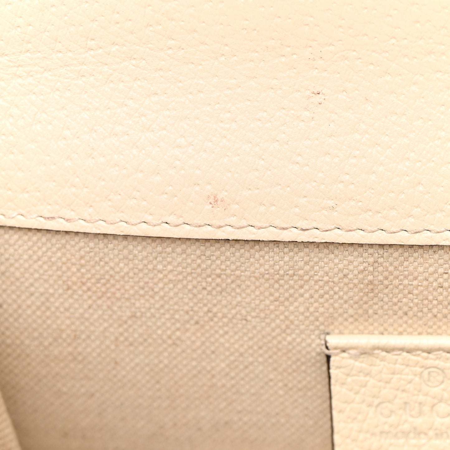 Textured Calfskin Crystal Mini Dionysus Shoulder Bag Mystic White