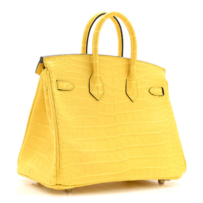 Hermes Matte Alligator Birkin 25 Mimosa 3 of 13