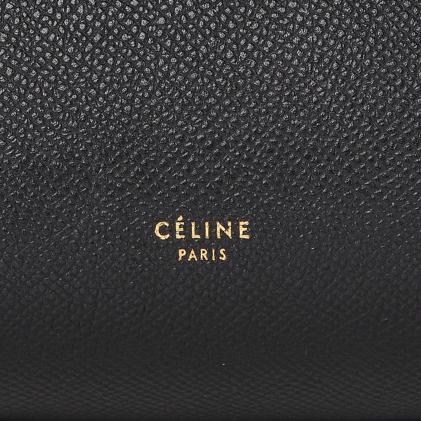 Grained Calfskin Mini Belt Bag Black