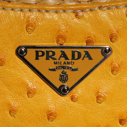 Prada Straw Ostrich Tote Naturale Soleil 8 of 8
