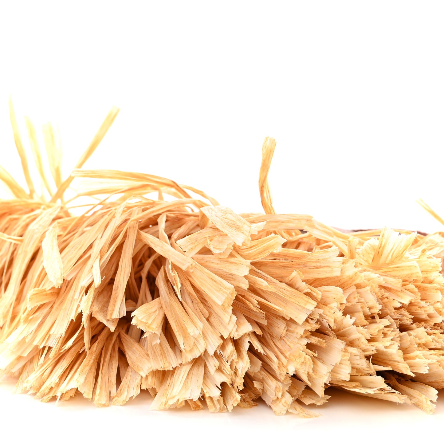 Raffia Fringe On The Coast Shoulder Bag