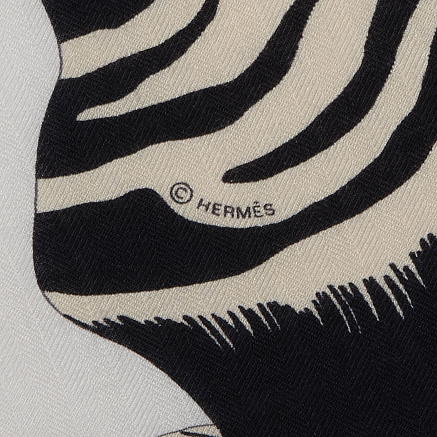 Cashmere Silk Zebra Pegasus Scarf GM 140 Blanc Noir Naturel