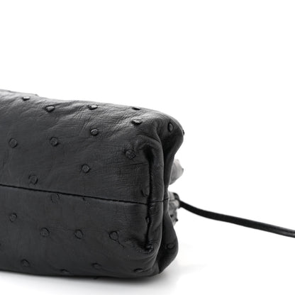 Bottega Veneta Ostrich The Mini Pouch Fondente 10 of 10