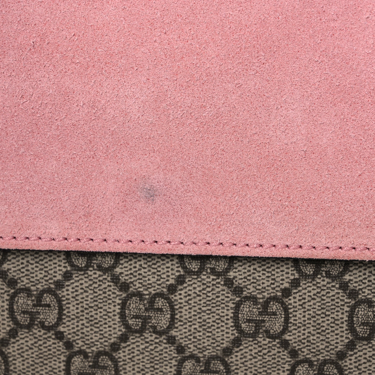 Gucci GG Supreme Monogram Suede Crystal Medium Dionysus Shoulder Bag Beige Ebony Light Peonia 10 of 11