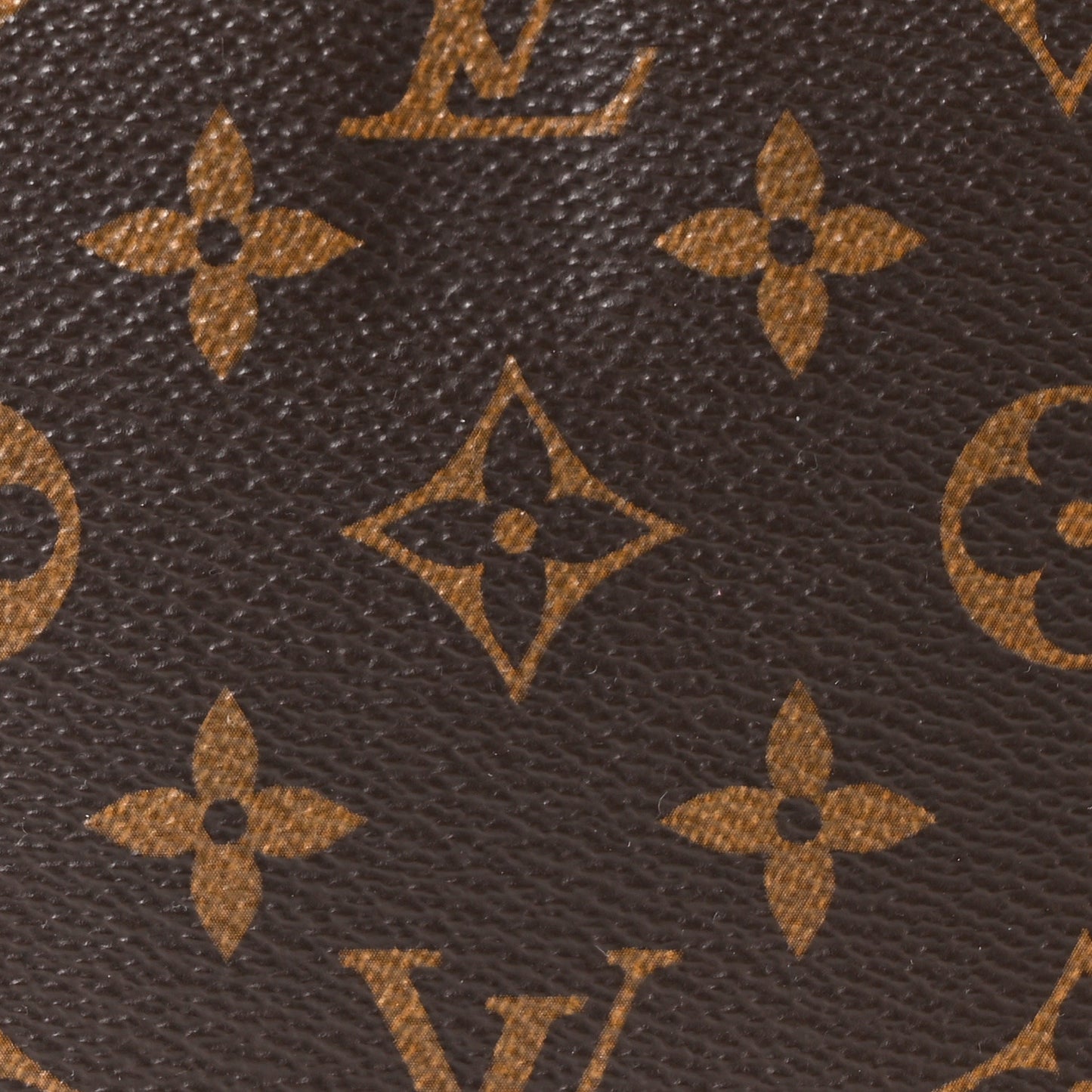Monogram Chain Pochette Accessories