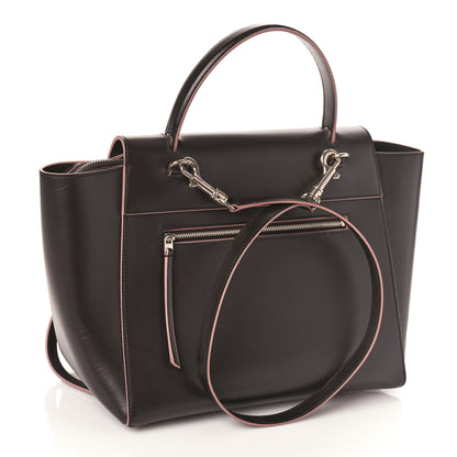 Celine Palmelato Calfskin Mini Belt Bag Espresso 3 of 7