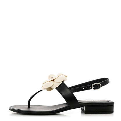 Chanel Lambskin Camellia Thong Sandals 36.5 Black White 1 of 9