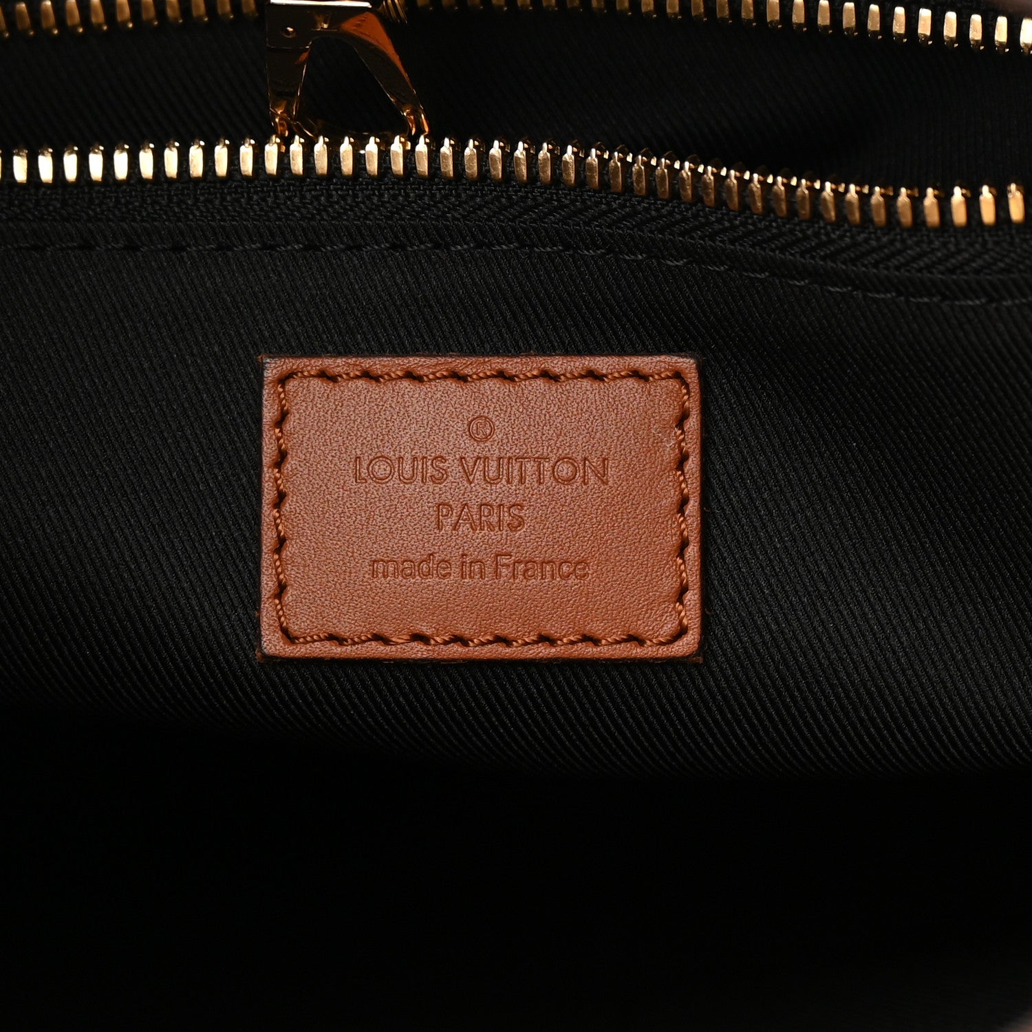 Louis Vuitton Reverse Monogram Dauphine Hobo MM 6 of 12