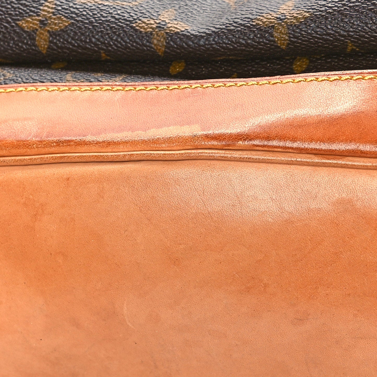 Monogram Montsouris GM Backpack