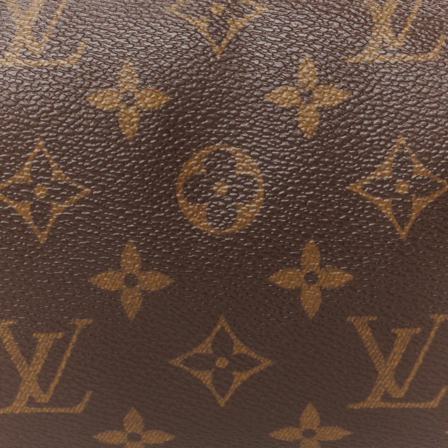 Monogram Papillon 26