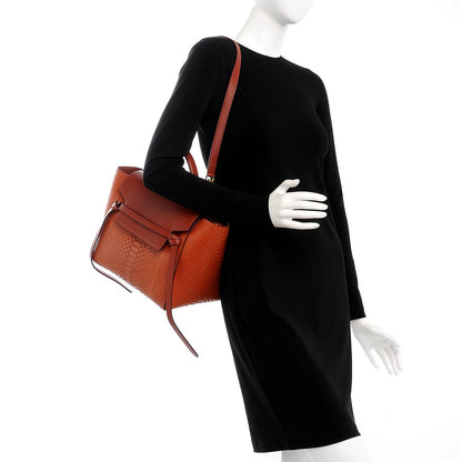Celine Python Mini Belt Bag Red Ochre 2 of 6