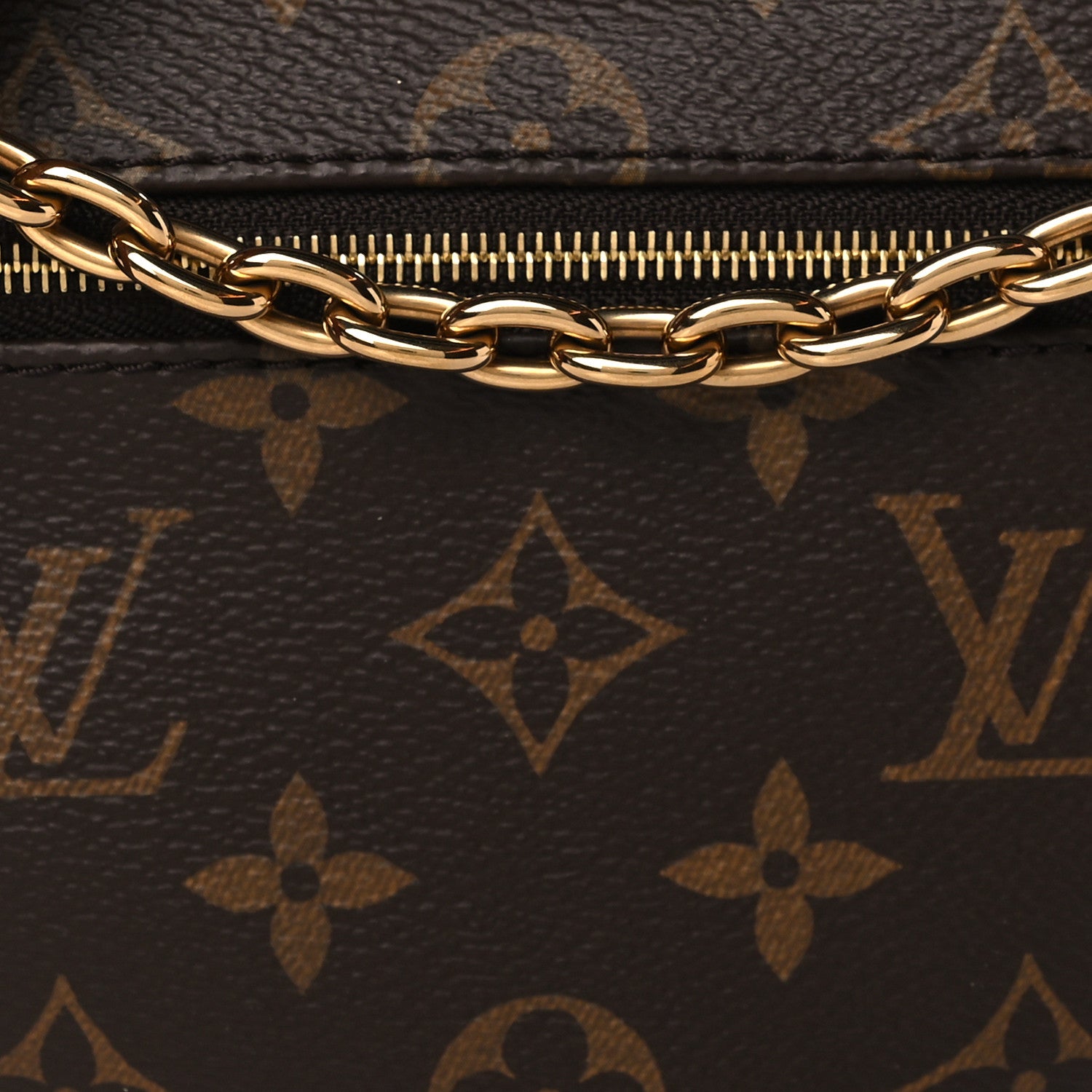 Louis Vuitton Monogram Loop 7 of 9