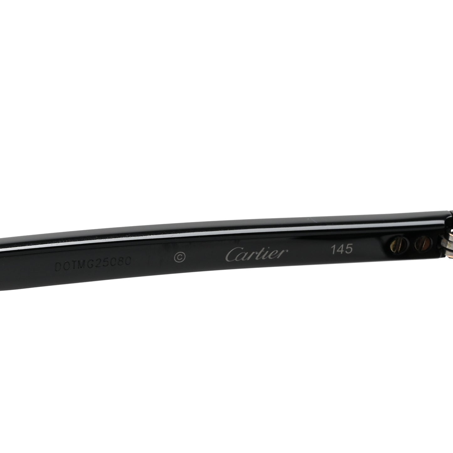 Acetate Sunglasses CT0011S Black