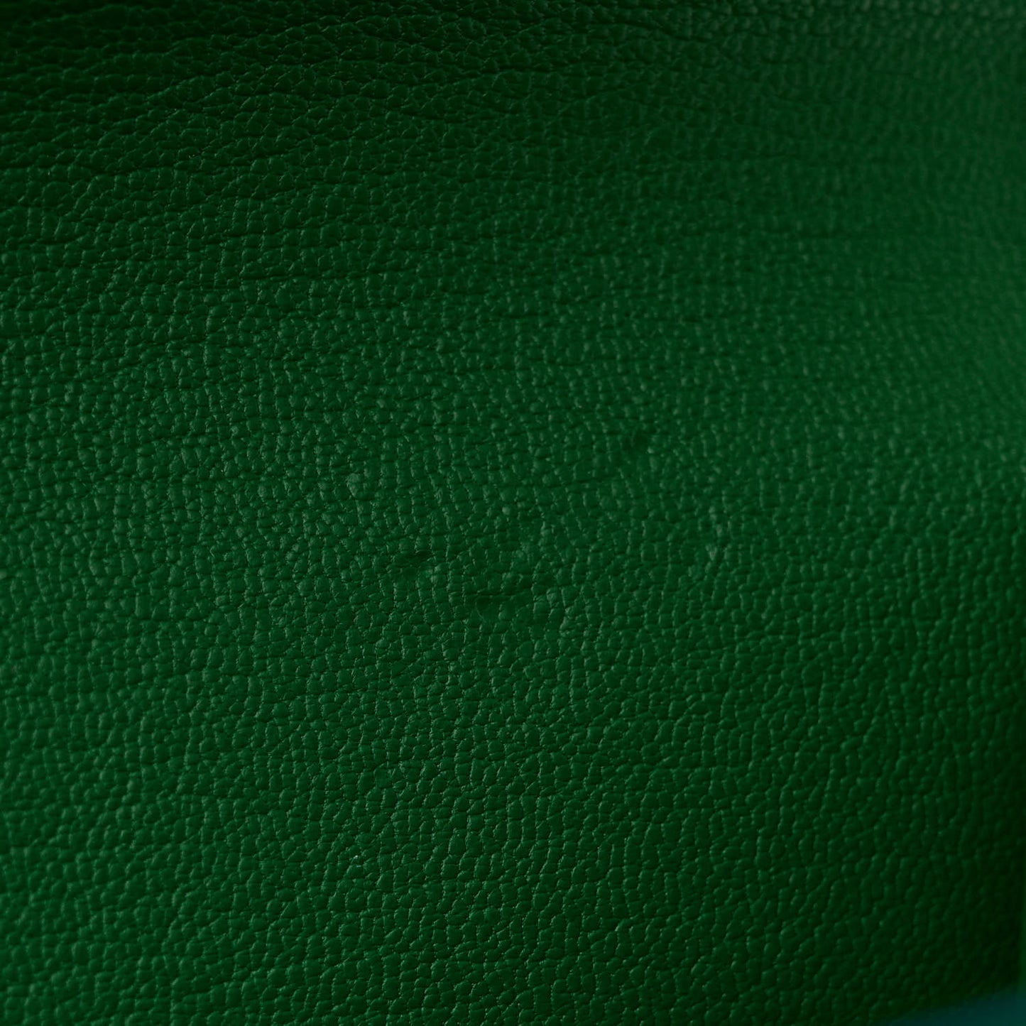 Alligator Chain Louise GM Emerald