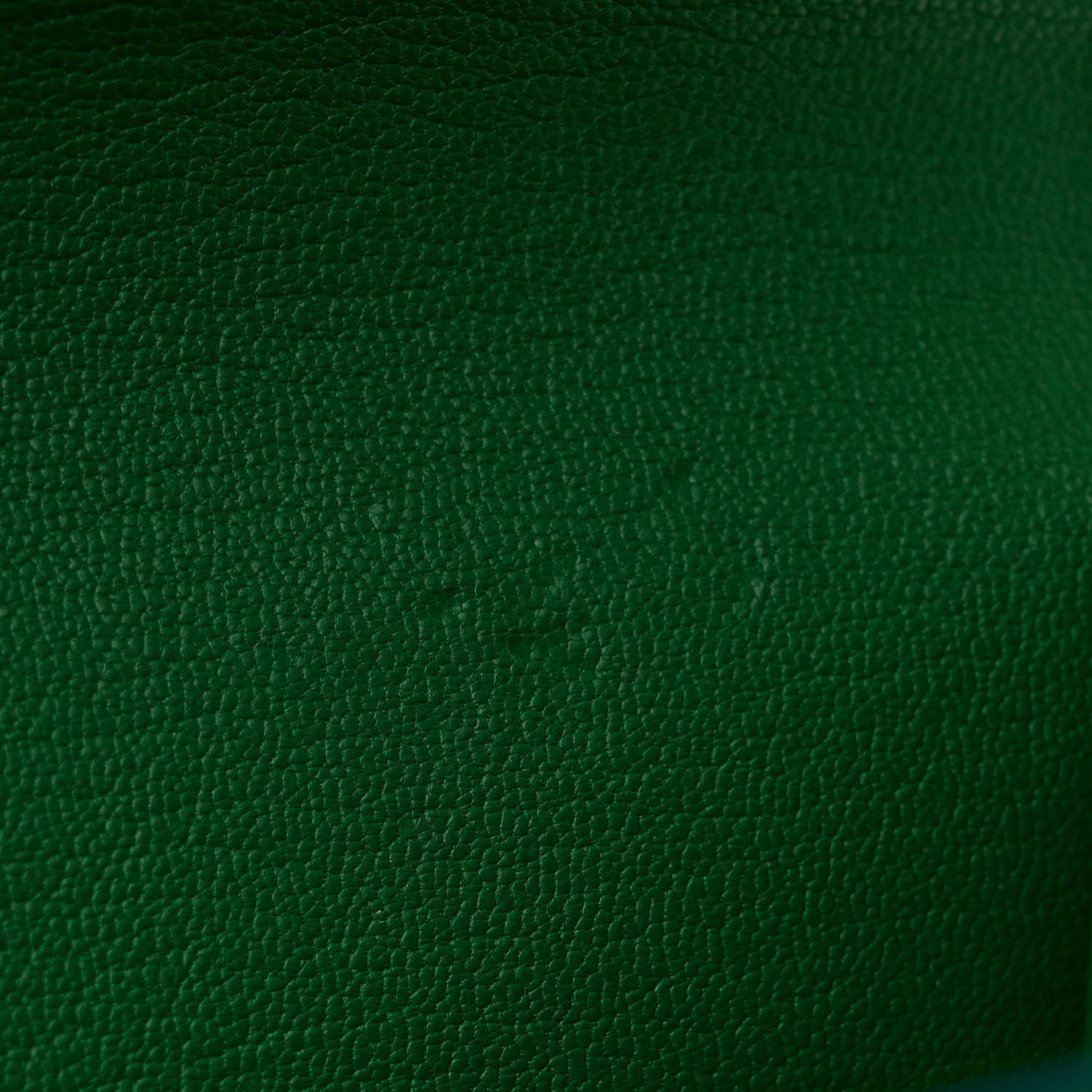 Louis Vuitton Alligator Chain Louise GM Emerald 10 of 10