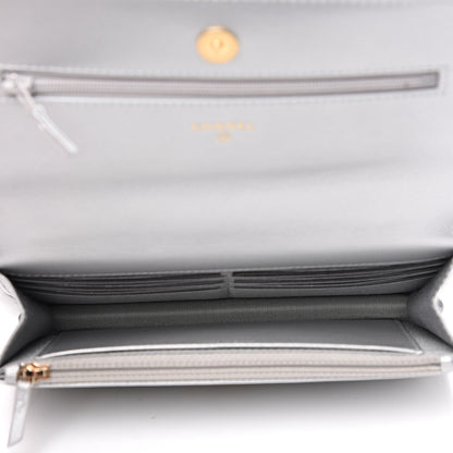 Chanel Metallic Goatskin Quilted 19 Wallet On Chain WOC Silver 4 of 13