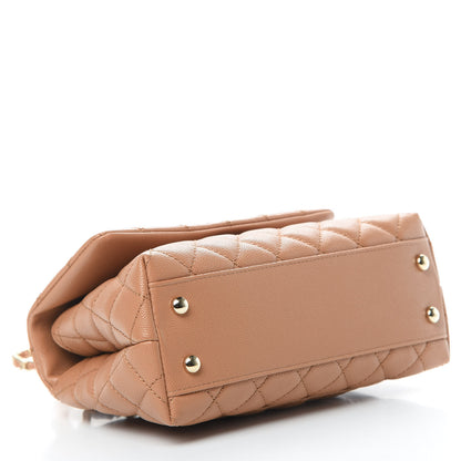 Chanel Caviar Quilted Lizard Embossed Mini Coco Handle Flap Brown 5 of 12