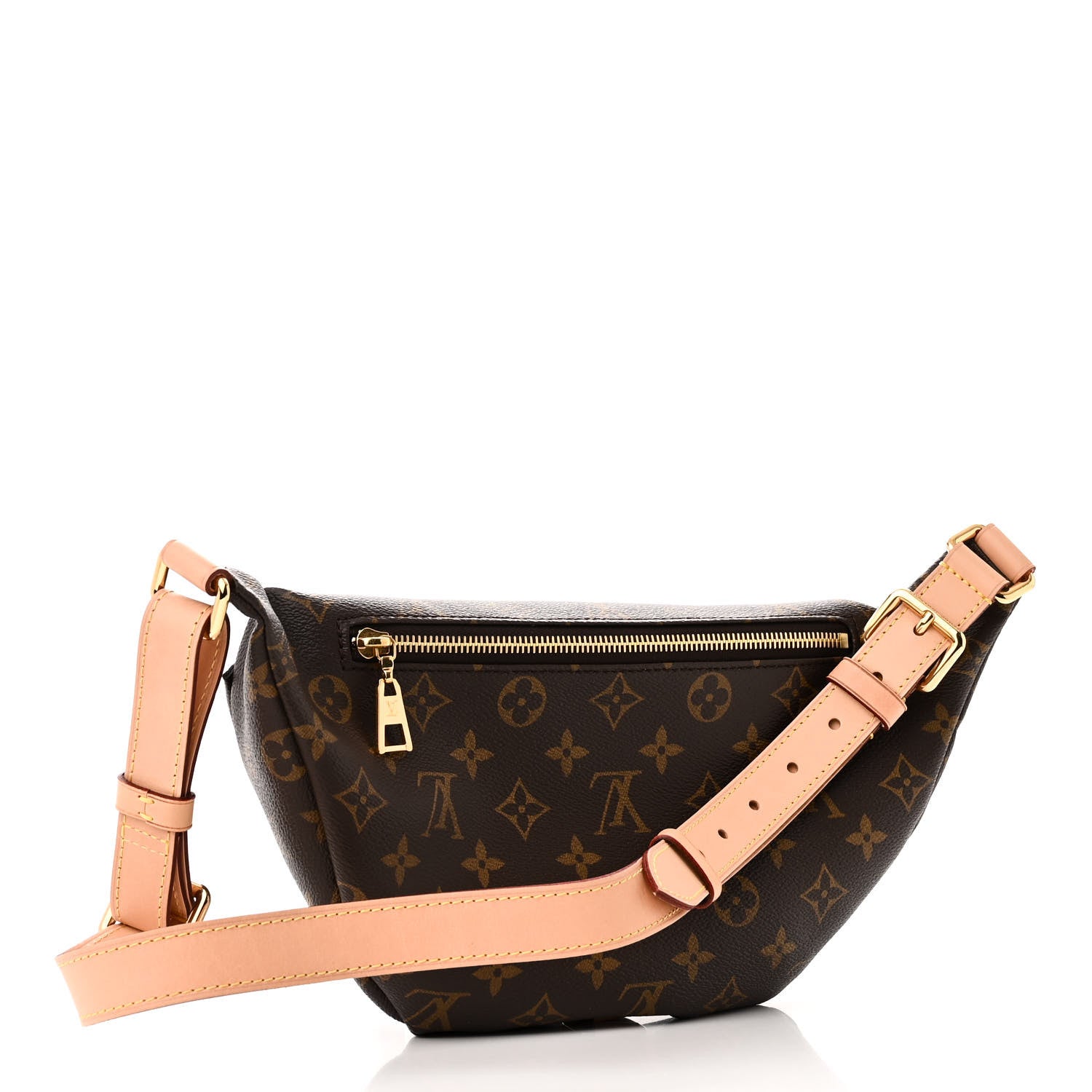 Louis Vuitton LOUIS VUITTON Monogram Bumbag 3 of 10