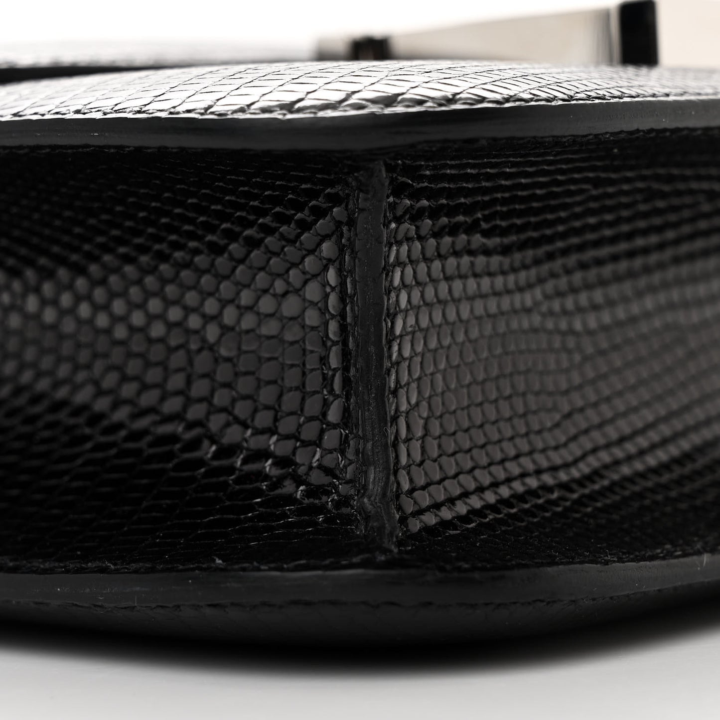 Lizard Constance 1-24 Black