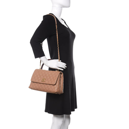 Chanel Caviar Lizard Quilted Small Coco Handle Flap Beige 2 of 13