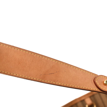 Louis Vuitton Monogram Delightful GM 12 of 12