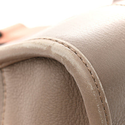 Loewe Calfskin Amazona 28 Pink Taupe 16 of 16