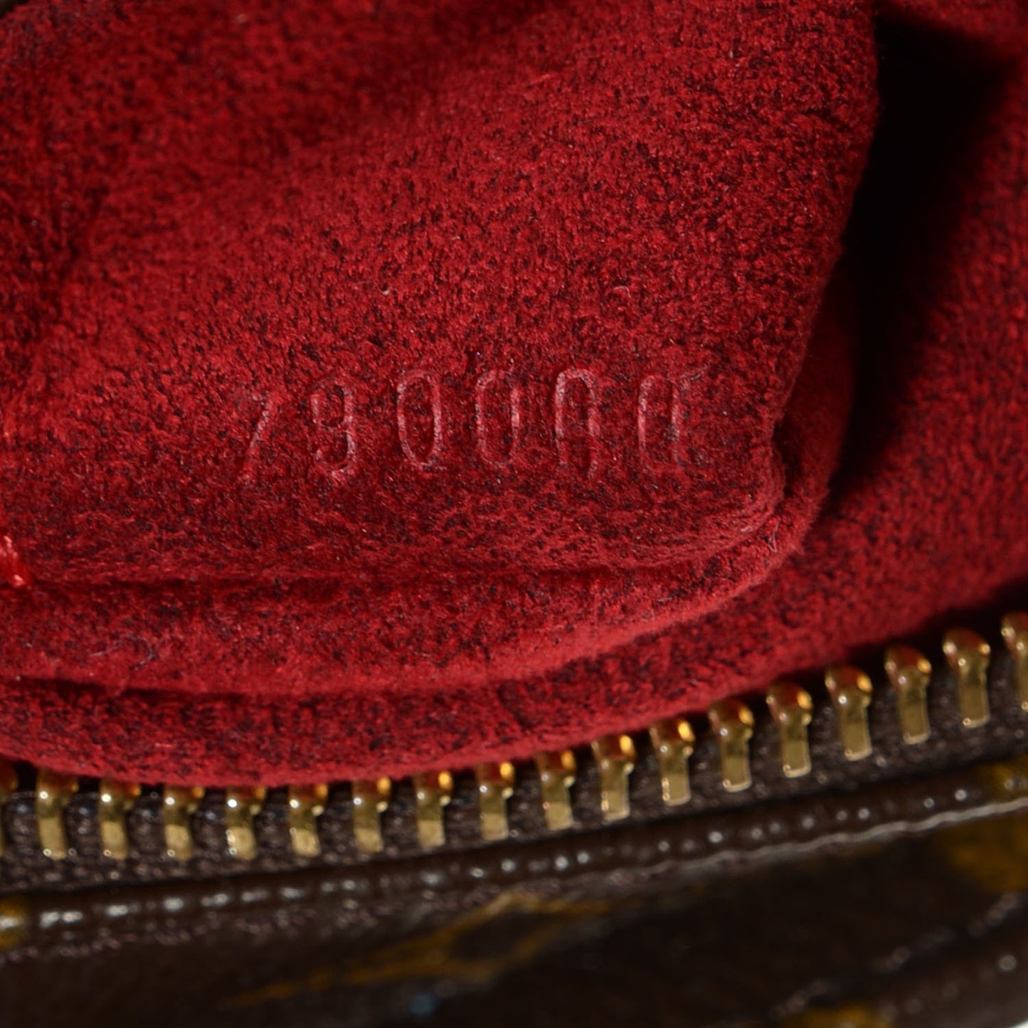 Monogram Viva-Cite MM