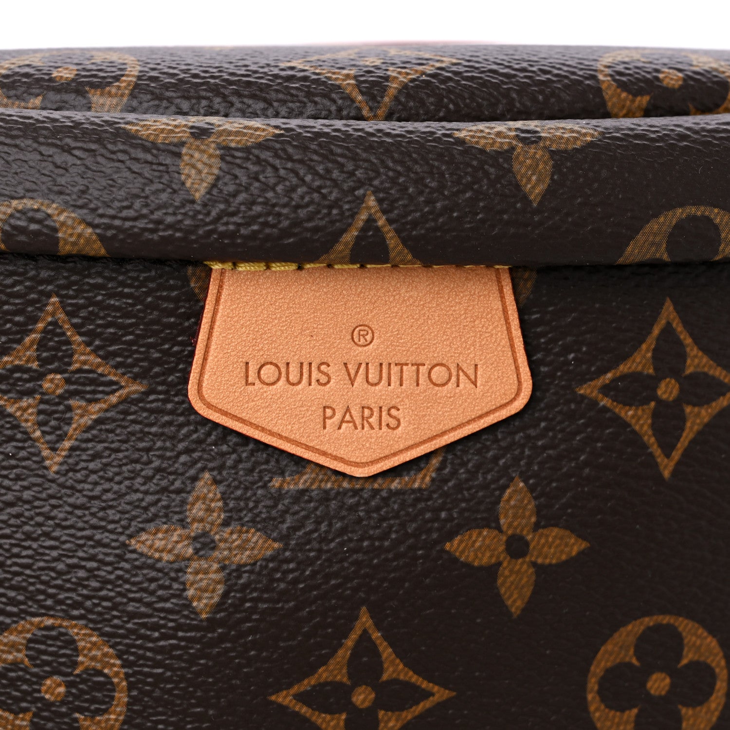 Louis Vuitton Monogram Bumbag 9 of 10