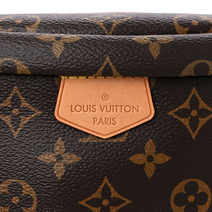 Louis Vuitton Monogram Bumbag 9 of 10