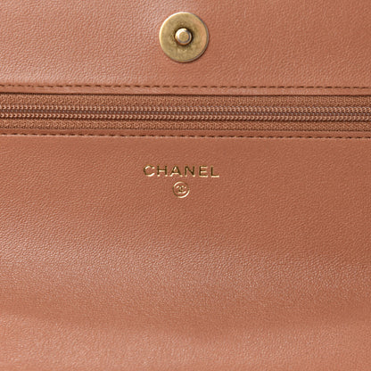 Chanel Lambskin Quilted 19 Wallet On Chain WOC Brown 10 of 14