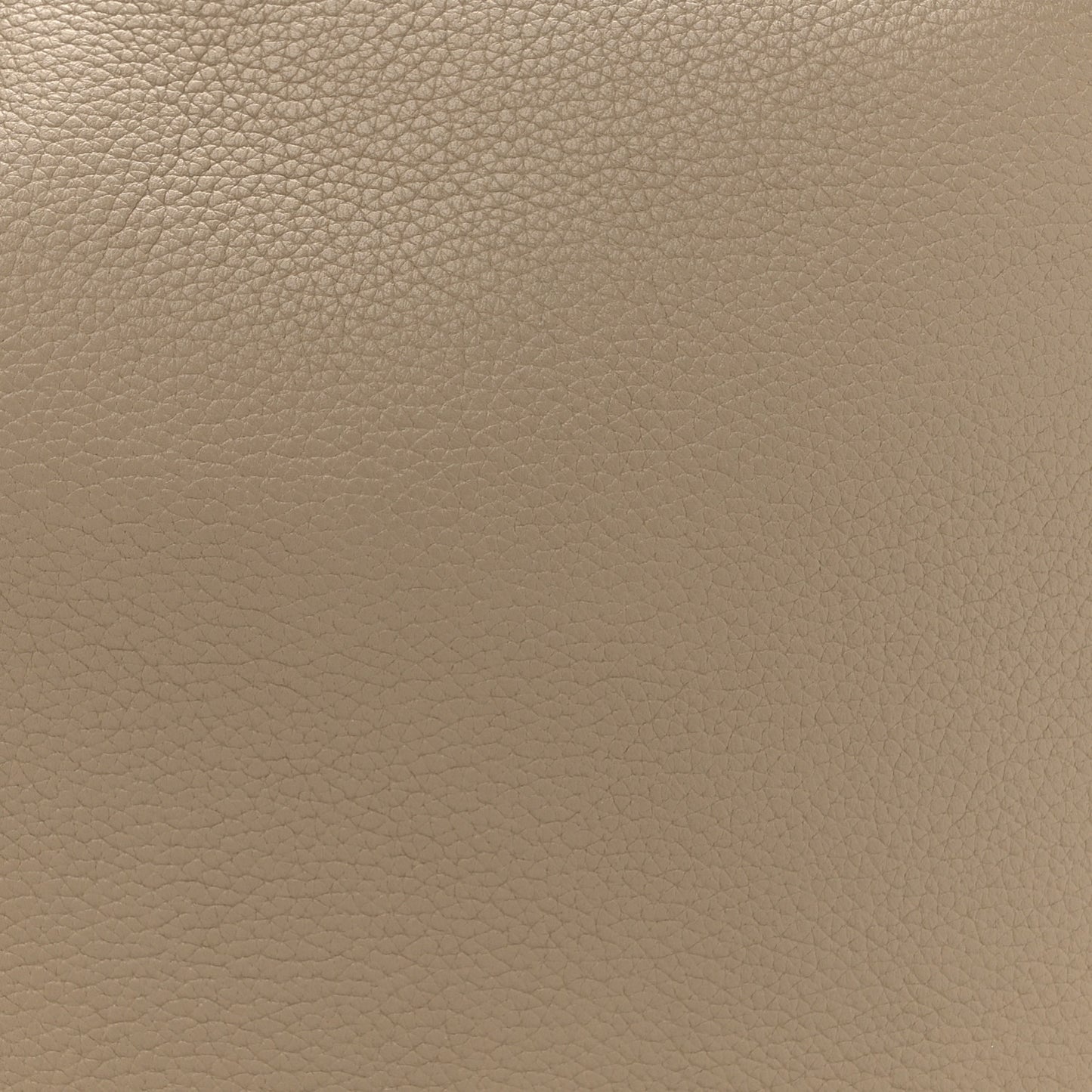 Calfskin Side Trunk MM Taupe