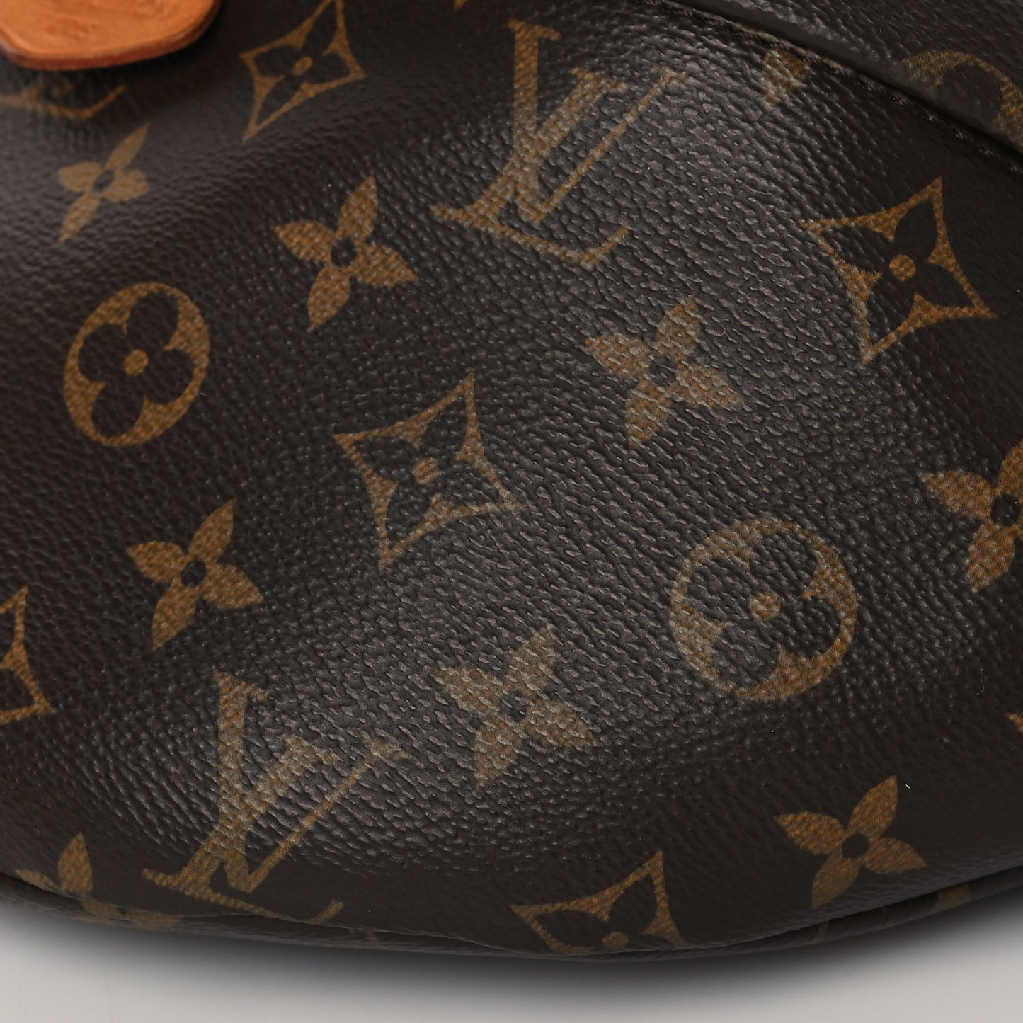 Monogram Bumbag