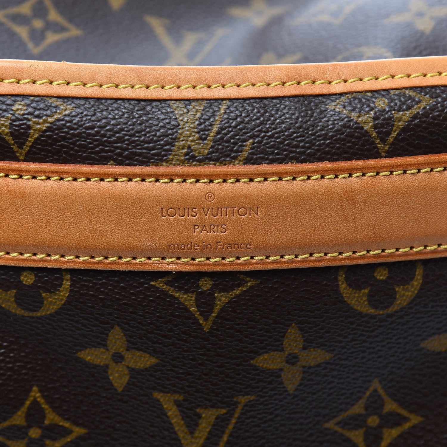 Louis Vuitton Monogram Sac Chien 40 Pet Carrier 5 of 8