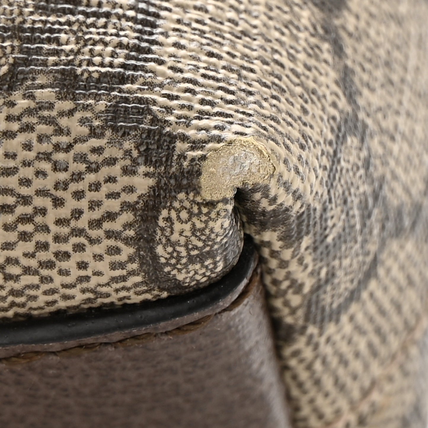 GG Supreme Monogram Textured Dollar Calfskin Web Small Ophidia Dome Shoulder Bag Beige Ebony New Acero