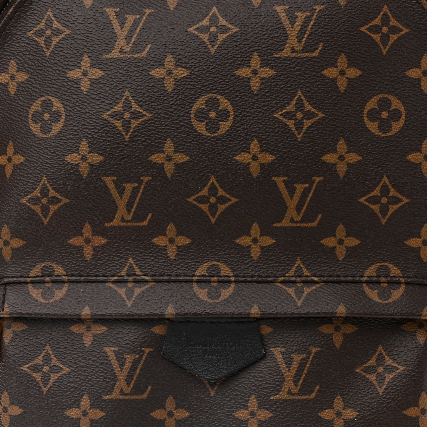 Monogram Palm Springs Backpack MM