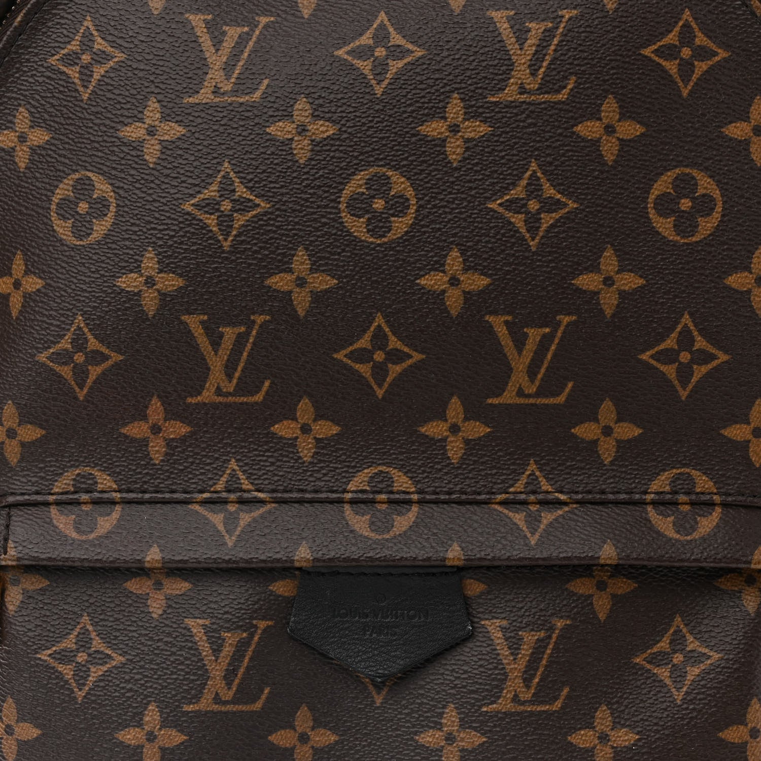 Louis Vuitton Monogram Palm Springs Backpack MM 7 of 10