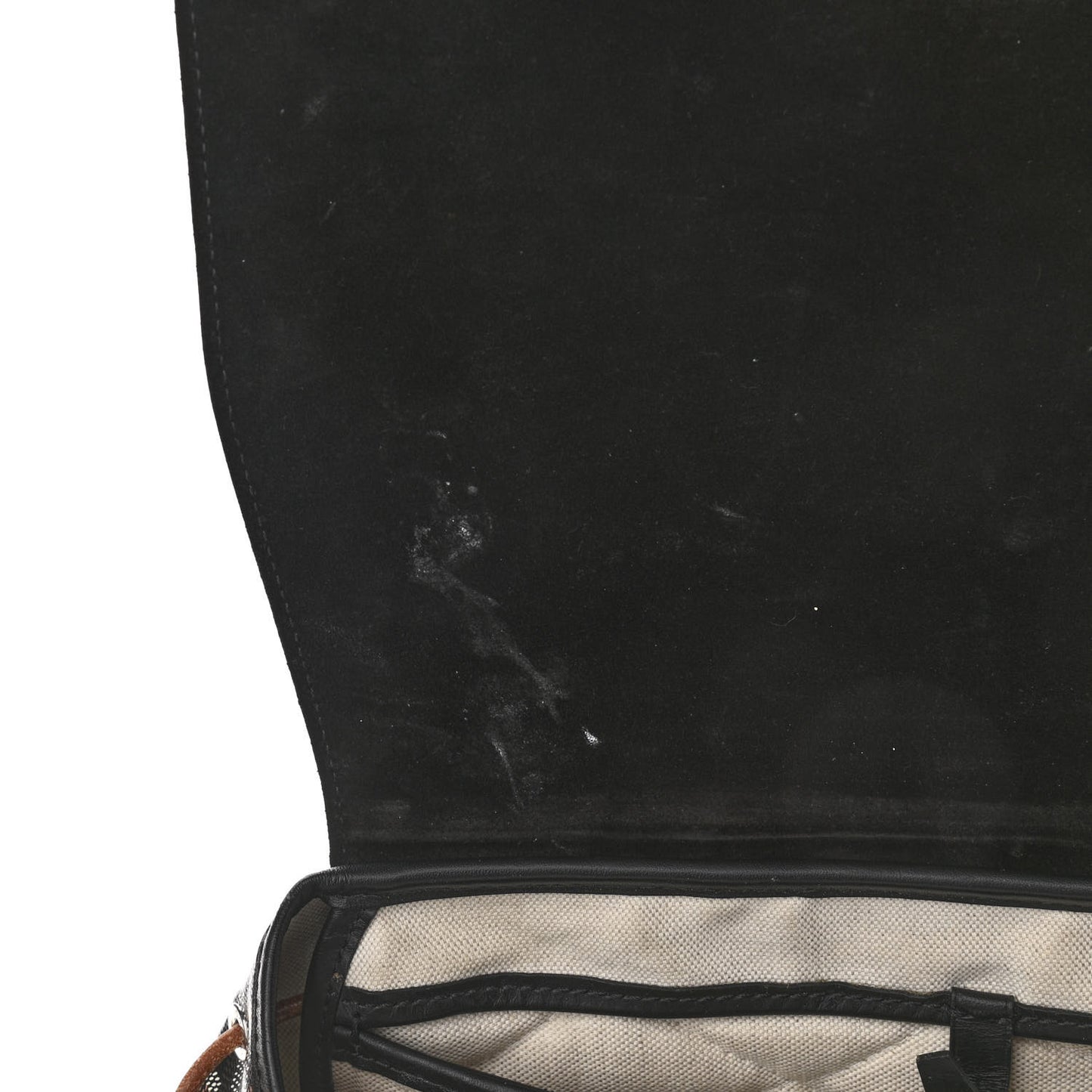 Goyardine Calfskin Alpin MM Backpack Black